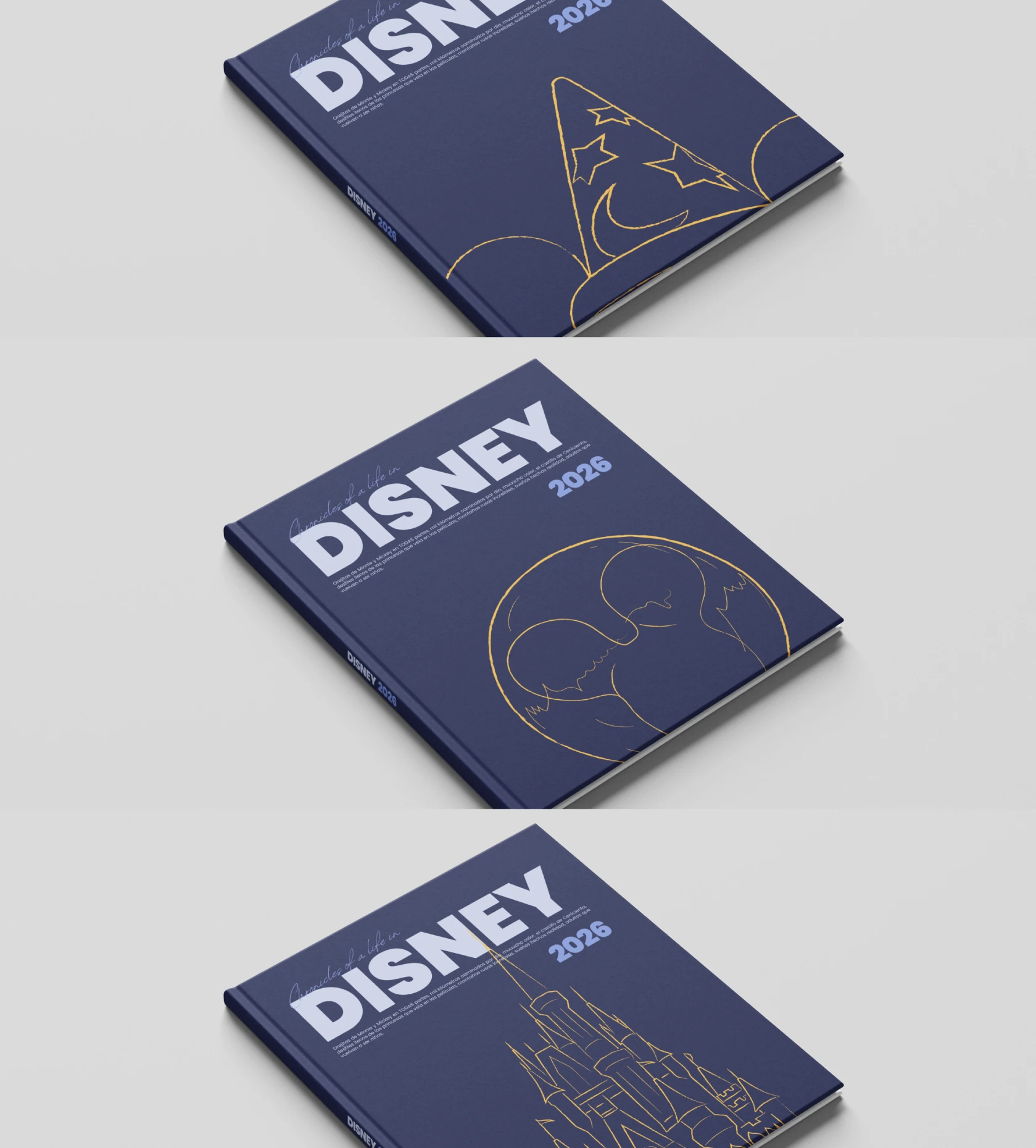 CG_Foto 1 TP Disney