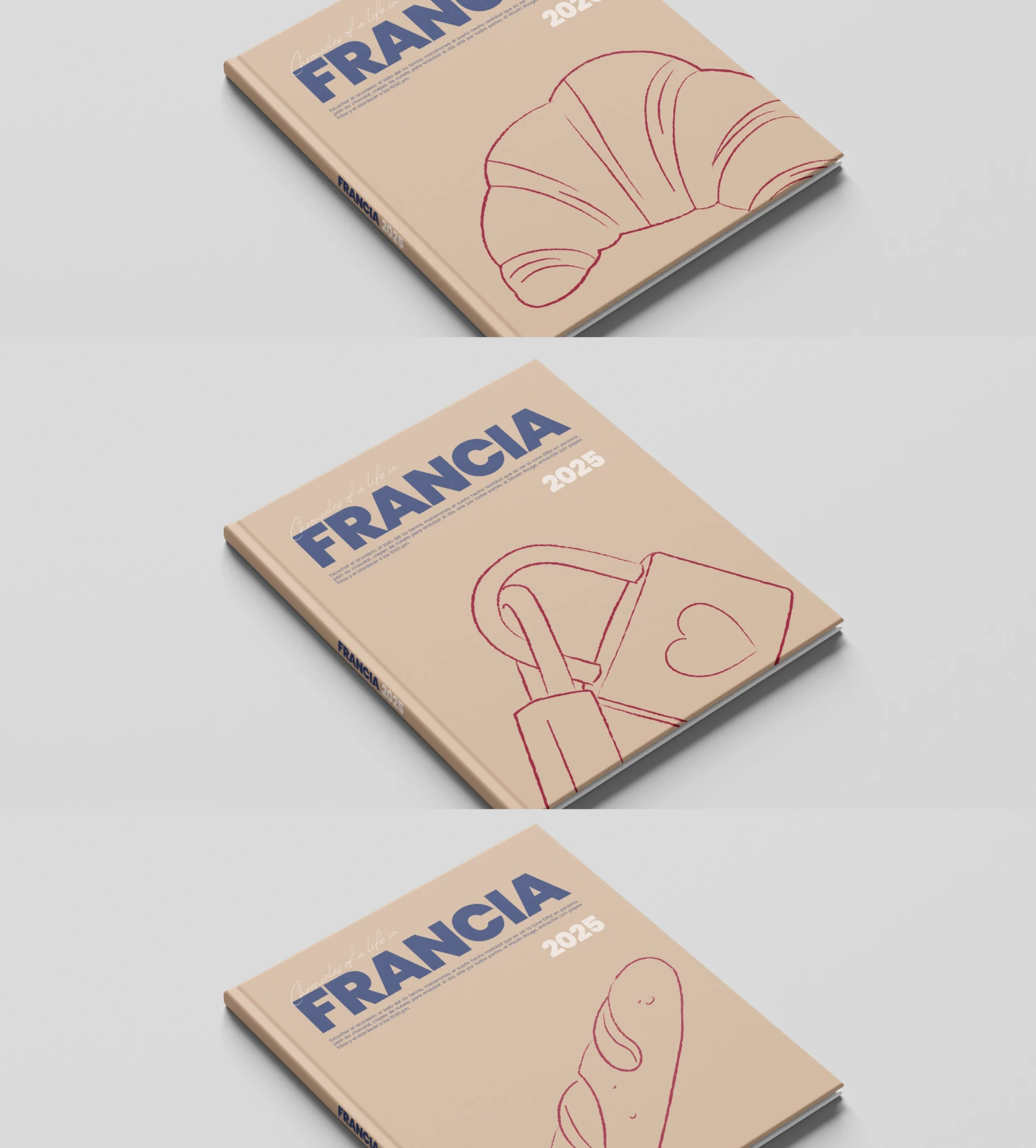 CG_Foto 1 TP Francia