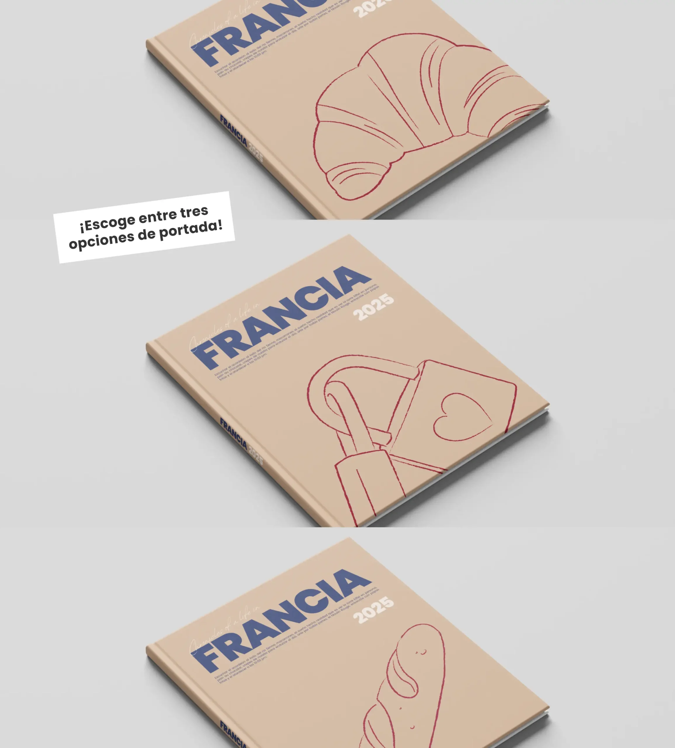 cg_Foto 1 TP Francia